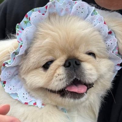 kebabtabeyogabu's profile picture