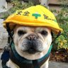 いっちにっ散歩🍀「雲外蒼天」's profile picture