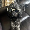 Profilbild von Mellow