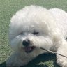 Profilbild von ๊ณฐ๋