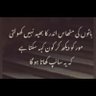 Sarim Ali 的头像