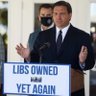 DeSantis Appreciation Society 的头像