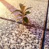 Фото профиля Sammy Grey