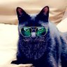 Mr. Hernesto's profile picture