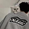 小飞侠. profil fotoğrafı