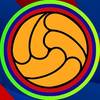 Barça pelo Brasil🇧🇷's profile picture