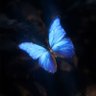 رُقيه🦋 的头像