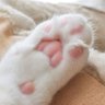 miau profil fotoğrafı