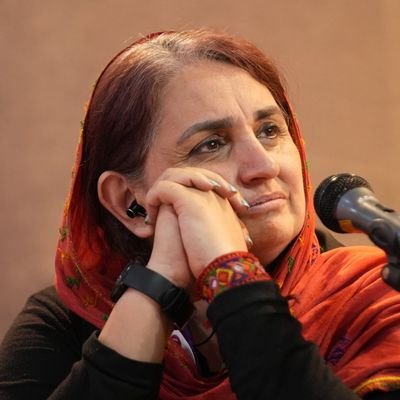 catsep's profile picture