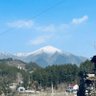 feifei's profile picture