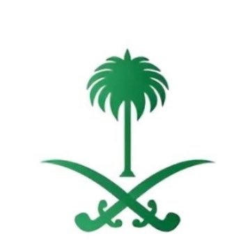s_khamiri's profile picture
