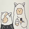 ルーやん's profile picture