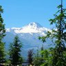 Фото профиля Tayfun