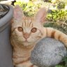 G profil fotoğrafı