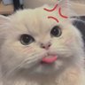Sonny 的头像