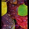 Фото профиля اوراق مبعثرة