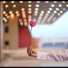 حاتم البراق's profile picture