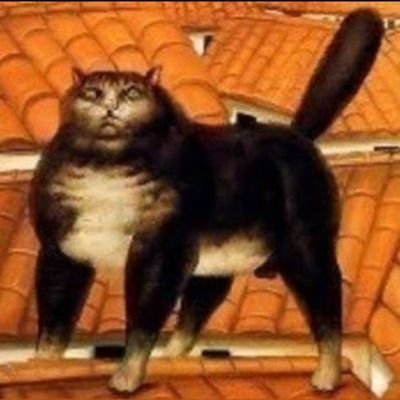 gato preto's profile picture