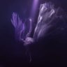 mali's profile picture