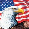 Profilbild von North Star Patriot