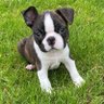 Mellow Mark profil fotoğrafı