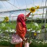 Nurul Asyikin profil fotoğrafı