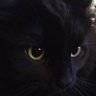 Profilbild von Hotheaded Hoosier
