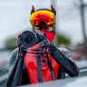 Profilbild von Pup Rally, The Camera Dog