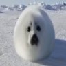 Profilbild von kirbör