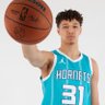 Matt the Hornets fan's profile picture