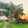 ऋषि कुमार profil fotoğrafı
