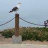 Oksana 的头像