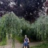 Gimpy cyclist chick 的头像