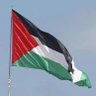 De derecha 🇨🇱, antisionista, pro 🇵🇸 profil fotoğrafı