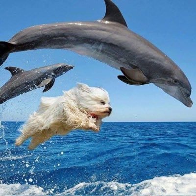 helloitsminta's profile picture