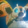 唐澤's profile picture