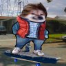 Bonkium Maximus's profile picture