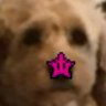 22KINGS profil fotoğrafı