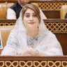 Saima Kanwal 的头像