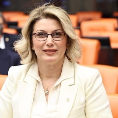 Dr.Asu Kaya's profile picture