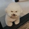 LordVicius's profile picture