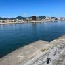 広島が恋しい profil fotoğrafı