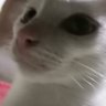 Фото профиля ysa