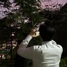manusia gabut 的头像