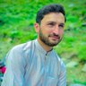 Profilbild von Sardar Ali
