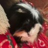 Klausi's profile picture