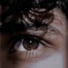 Profilbild von Mohammed