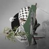 M.J's profile picture