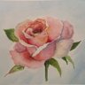 StLee's profile picture
