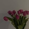 Reema profil fotoğrafı